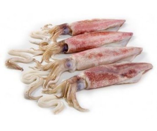 Picture of Patagonian Squid - 1 kg