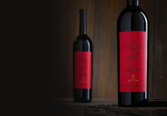სურათი Rosso Di Montalcino