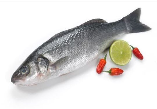 Picture of Seabass