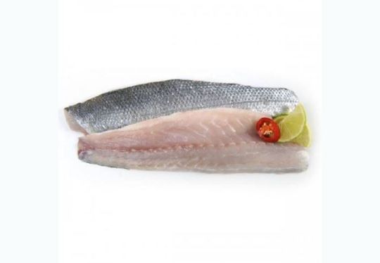 Picture of Seabass