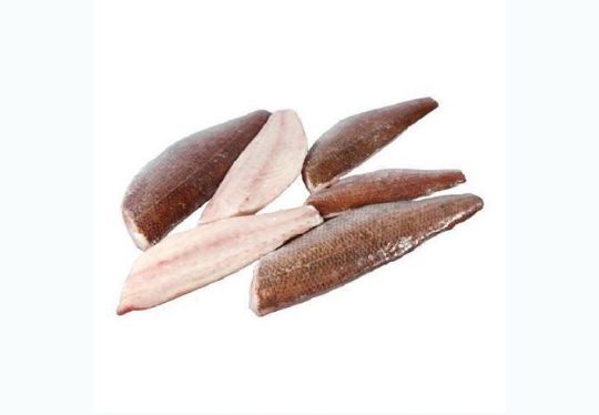 სურათი ვეფხვისკბილა ოკეანის გარბული