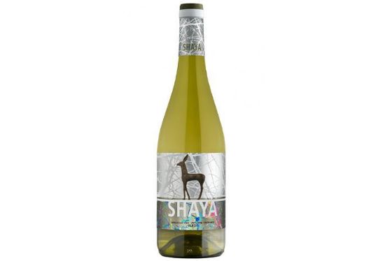 სურათი Shaya