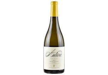 სურათი Antica Chardonnay
