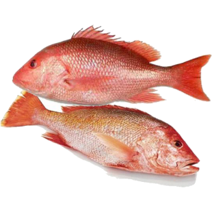 Picture for category Fresh Fish
