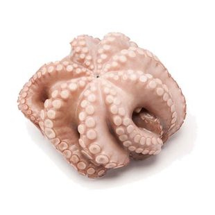 Picture for category Octopus