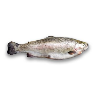 Picture of Fresh Black Sea Salmon - 2 kg