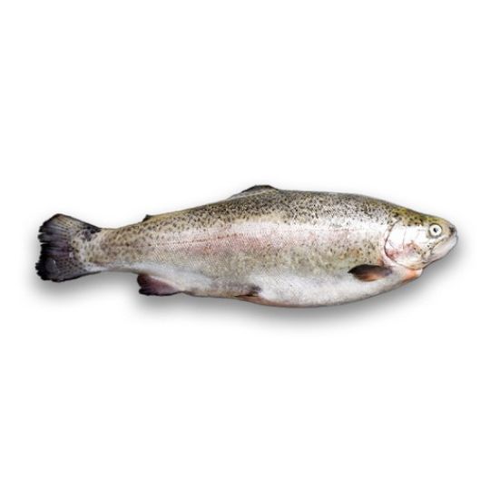 Picture of Fresh Black Sea Salmon - 2 kg