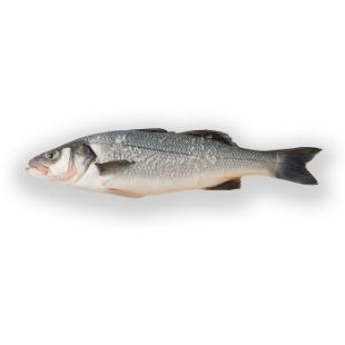 Picture of Seabass 600-800 gr